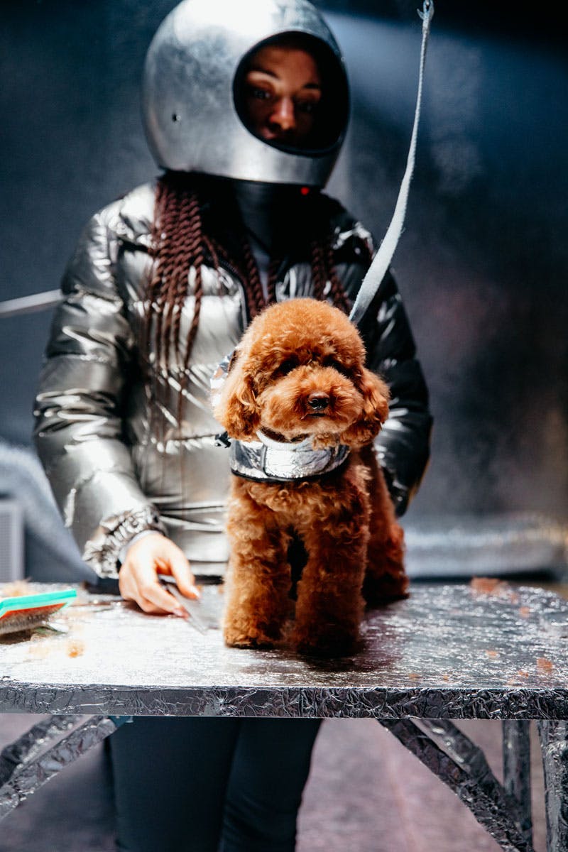 moncler-genius-fall-2020-hiroshi-dog-courture-01