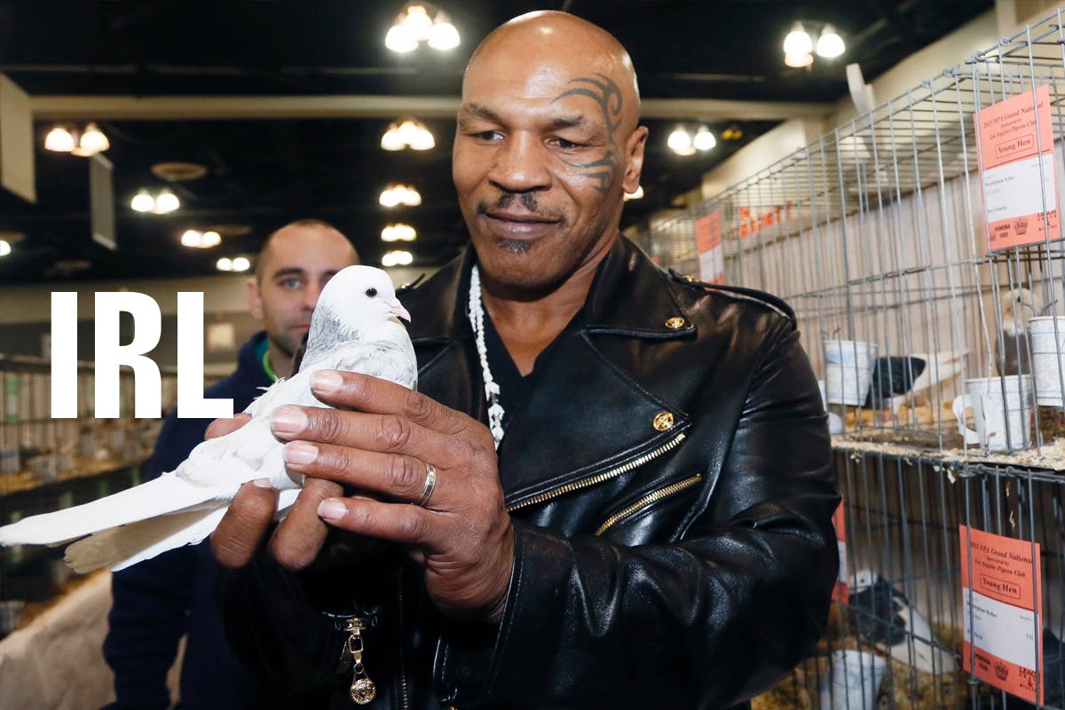 mike-tyson-chris-brown-soulja-boy-01
