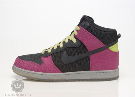 nike-spring-2009-dunk-hi-8