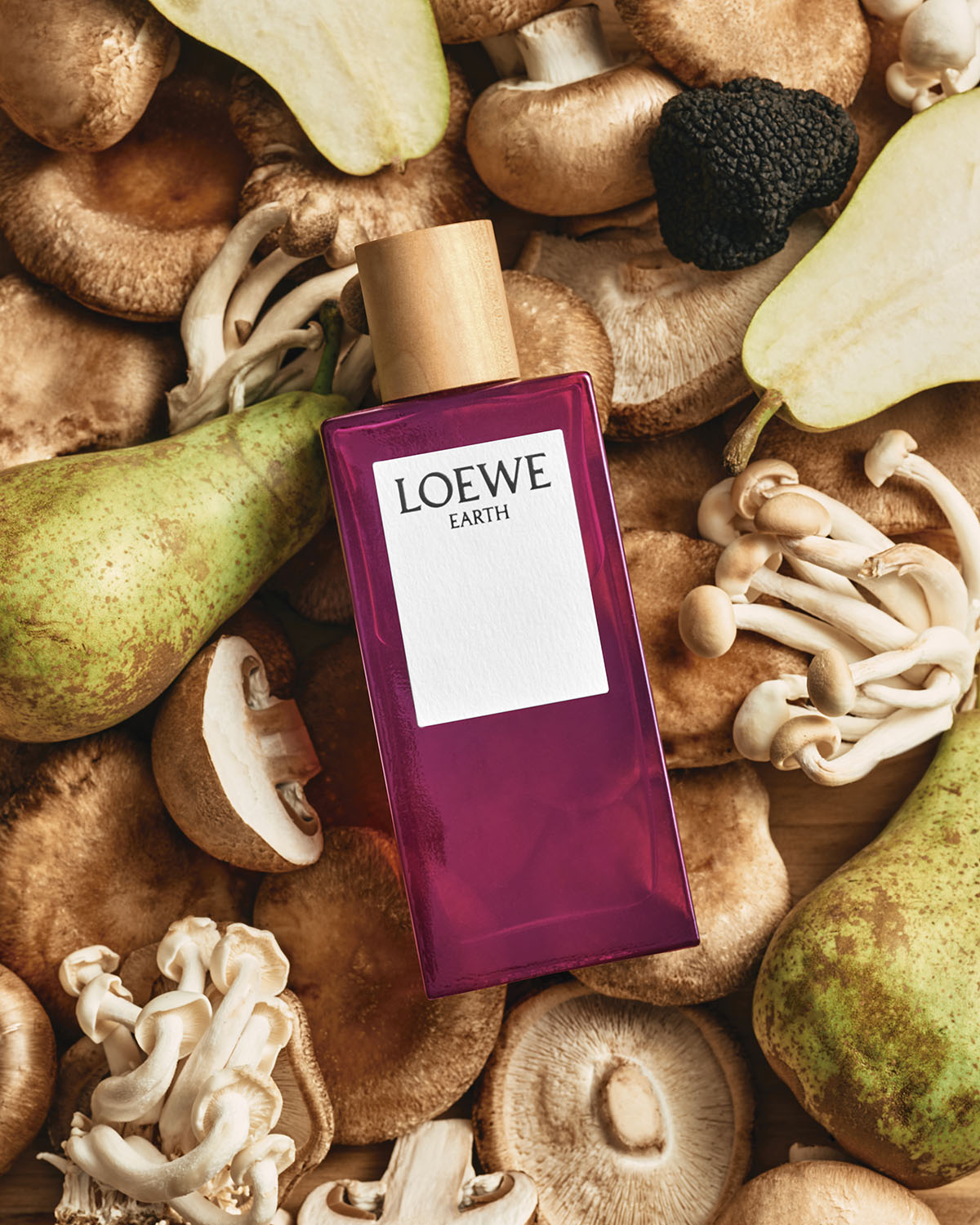 loewe-earth-perfume-4