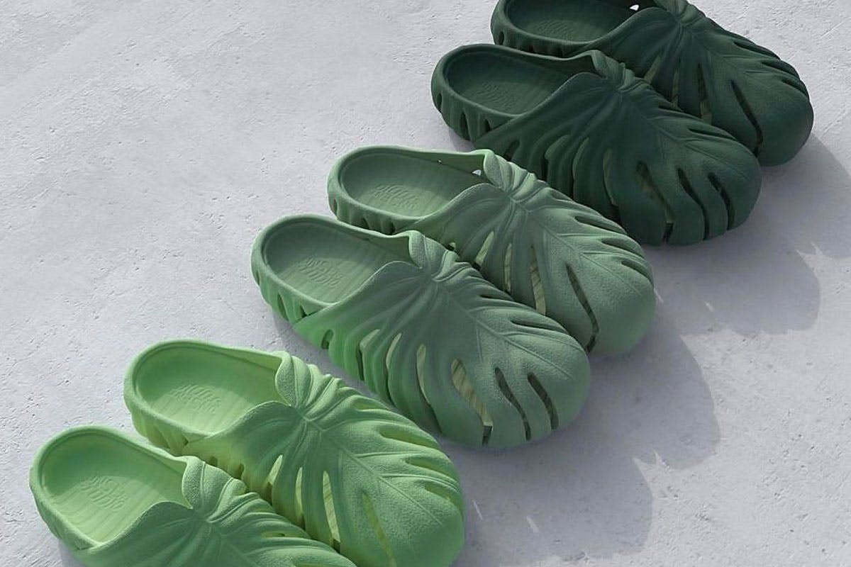 leaf-crocs_0001_Layer 1