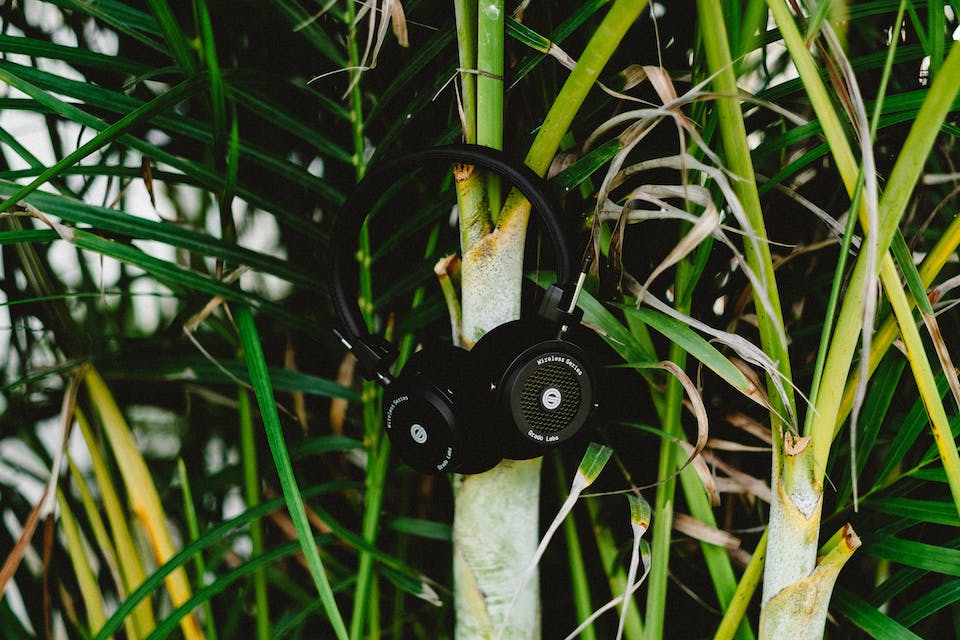 Grado GW100 Wireless Headphones with Plants Grado Labs GW100