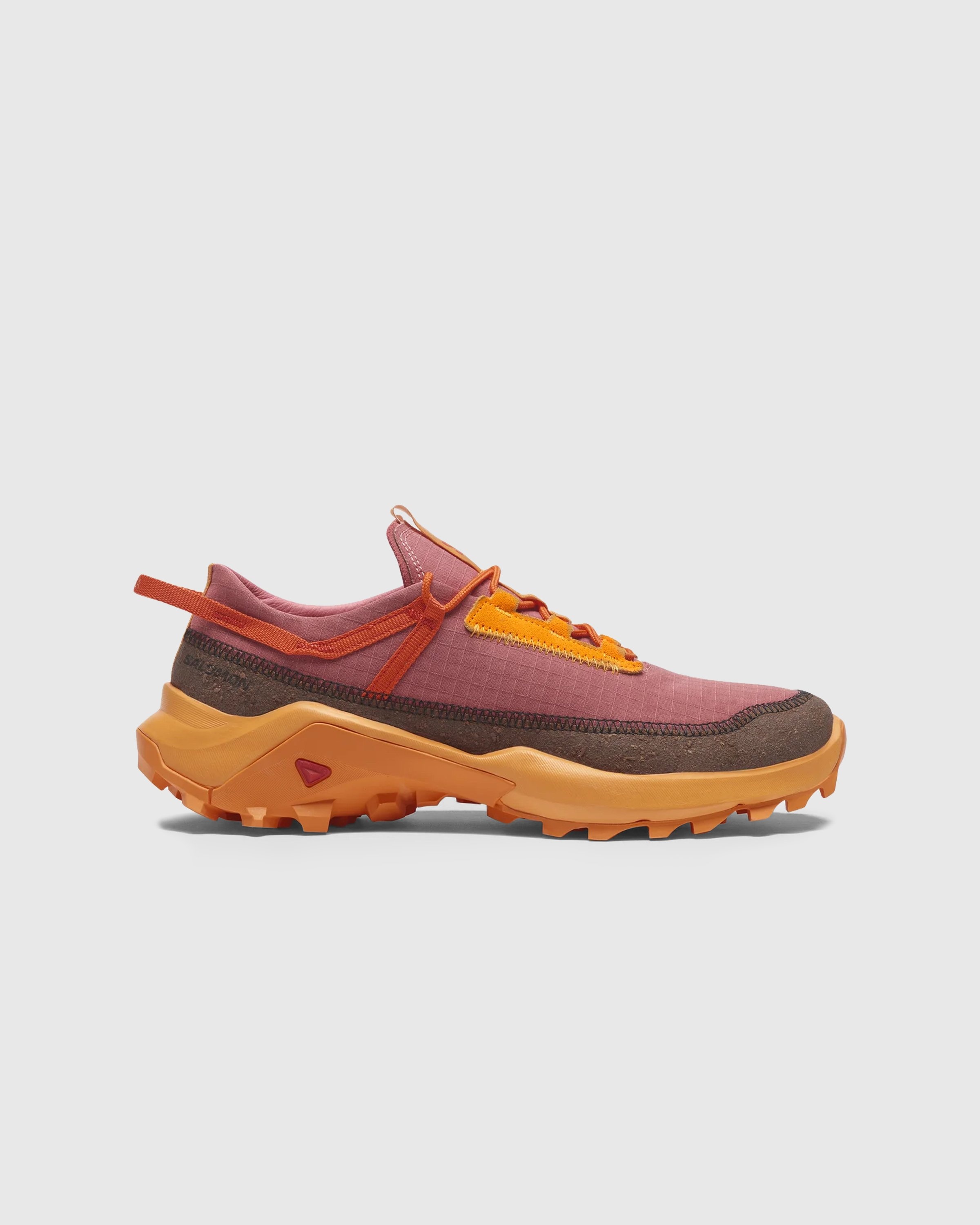 Salomon x 2025 cross