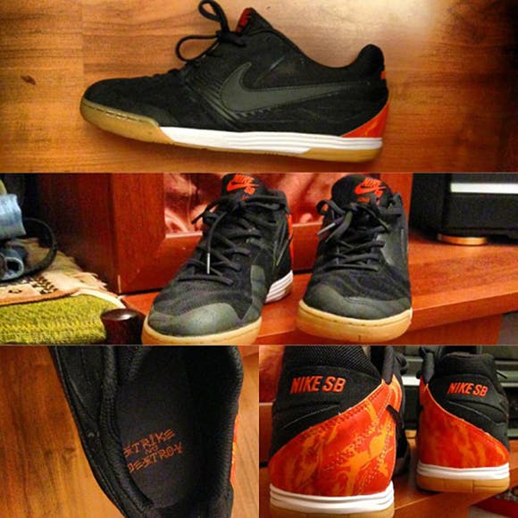 Sb gato orange label outlet