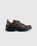 XA Pro 3D GORE-TEX Brown