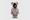 Be@rbrick เจลาโต้ไพค์ 400%