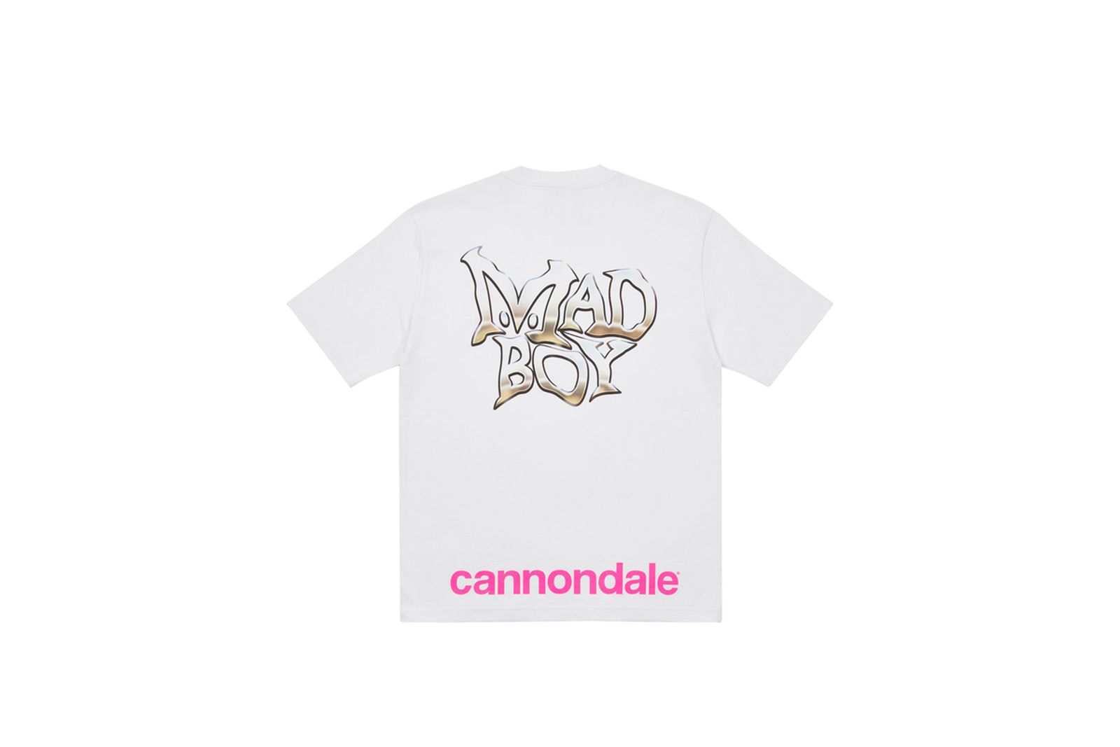 palace-cannondale-fw21-collab- (52)