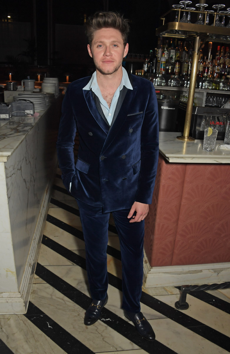 LONDON, ENGLAND - FEBRUARY 18:   Niall Horan attends the Universal Music BRIT Awards after-party 2020 hosted by Soho House &amp; PATRON at The Ned on February 18, 2020 in London, England.  (Photo by David M. Benett/Dave Benett/Getty Images for Universal Music &amp; Soho House)