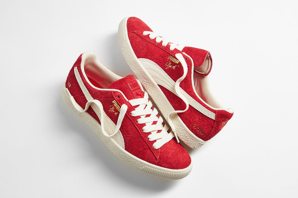 end-puma3