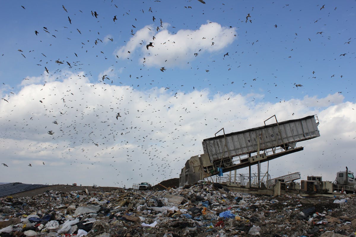 We Visited One of America's Biggest Landfills What We Learned