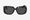 Linda Farrow Edition 75 C6 Sunglasses