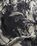 Dries van Noten – Fender Scarf Ecru - Scarves - Grey - Image 4