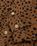 Noon Goons – Go Leopard Denim Jacket Brown - Outerwear - Brown - Image 5