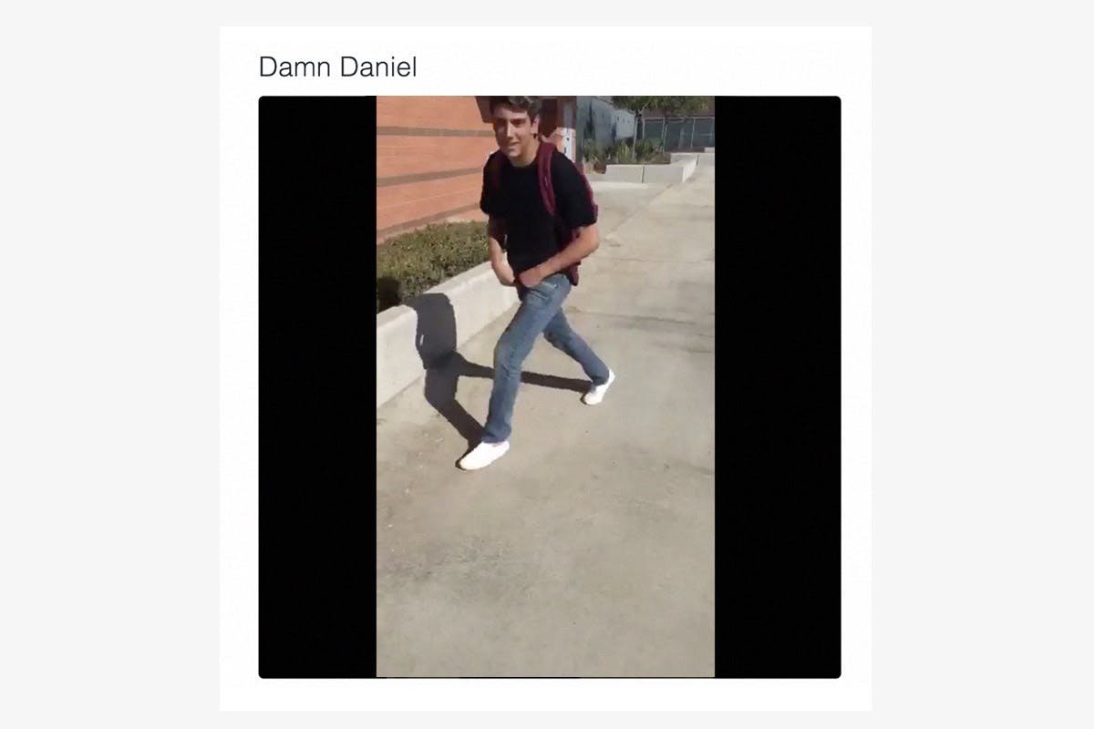 best-memes-of-2016-Damn Daniel-1