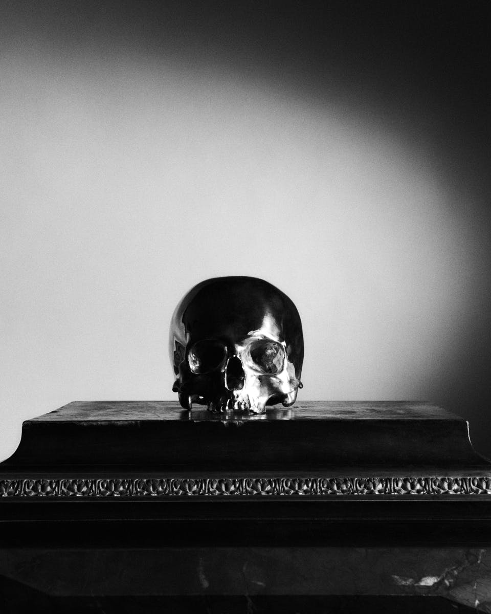 saint-laurent-halloween- (2)