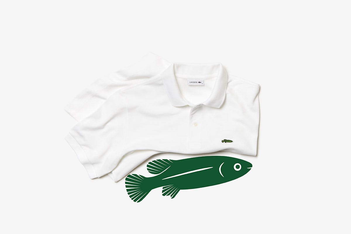 Lacoste Crocodile Logo With 10 Endangered Species