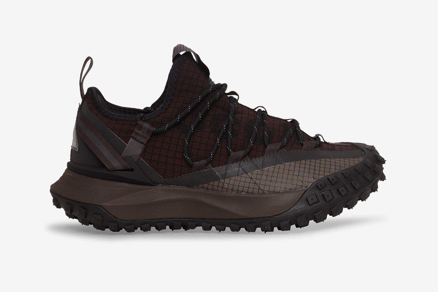 ACG Mountain Fly Low Sneakers