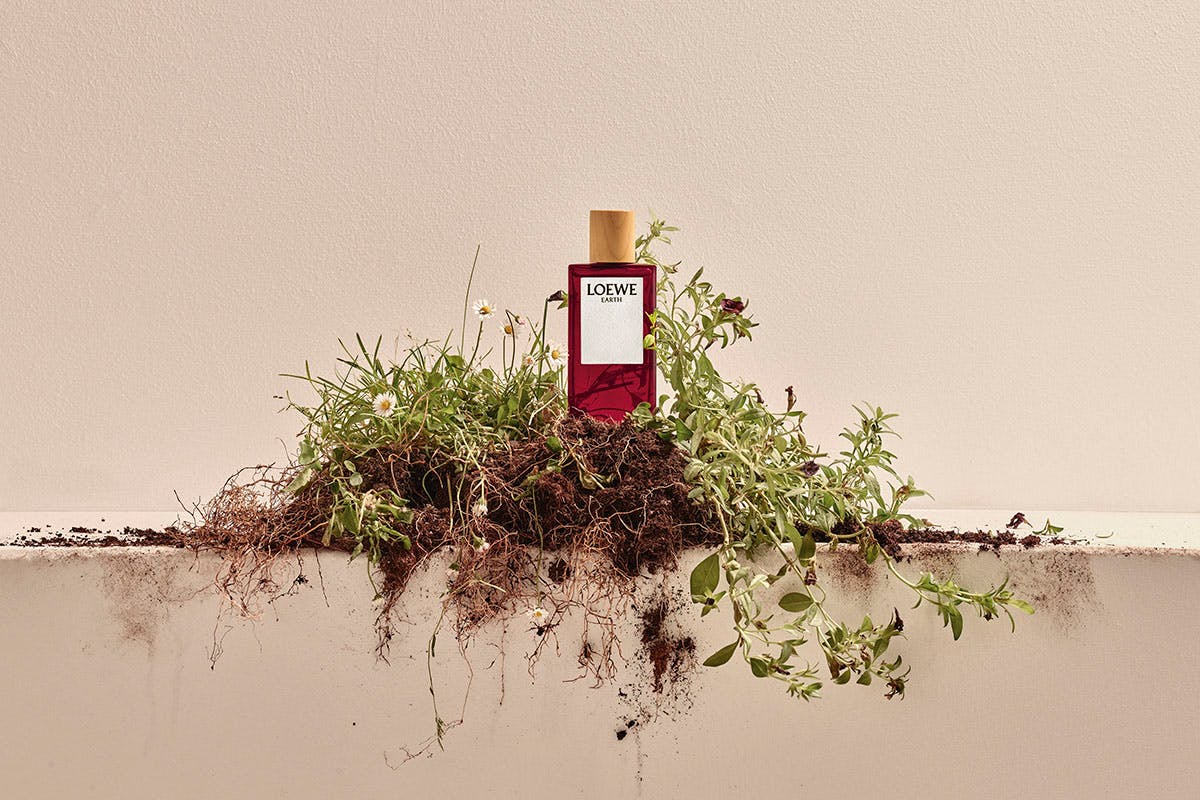 loewe-earth-perfume-1