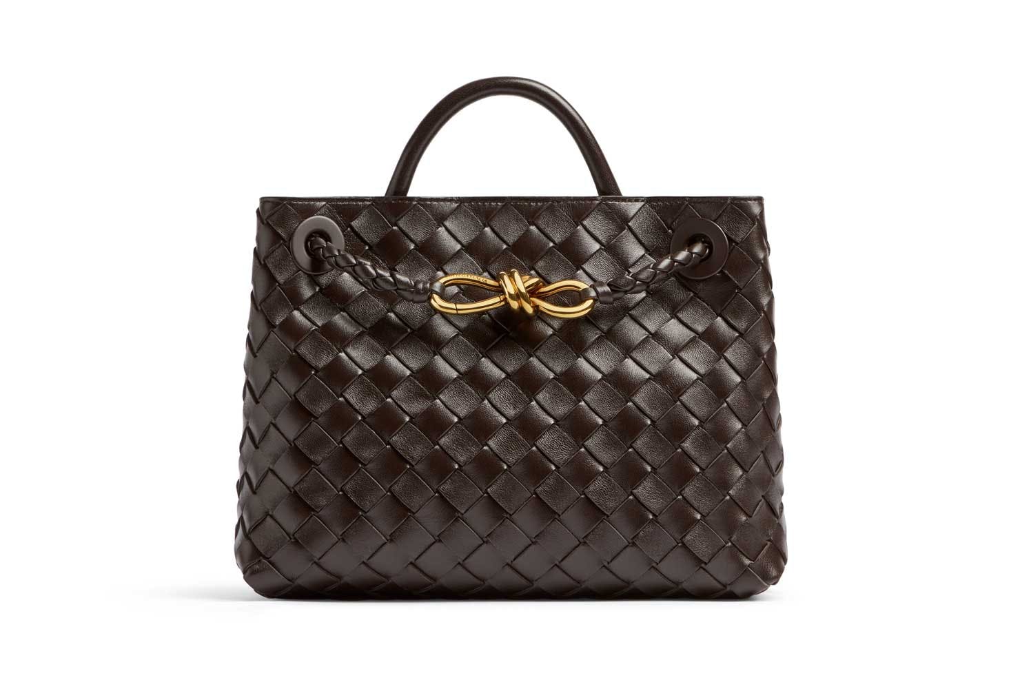 bottega-veneta-andiamo-bag-(1)