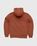 Stone Island – Dust Color Treatment Hoodie Brick Red - Sweats - Red - Image 2