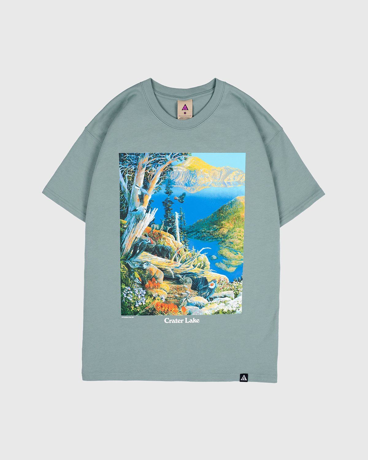 Nike ACG – M NRG ACG SS Crater Lake Tee Green - T-shirts - Green - Image 1