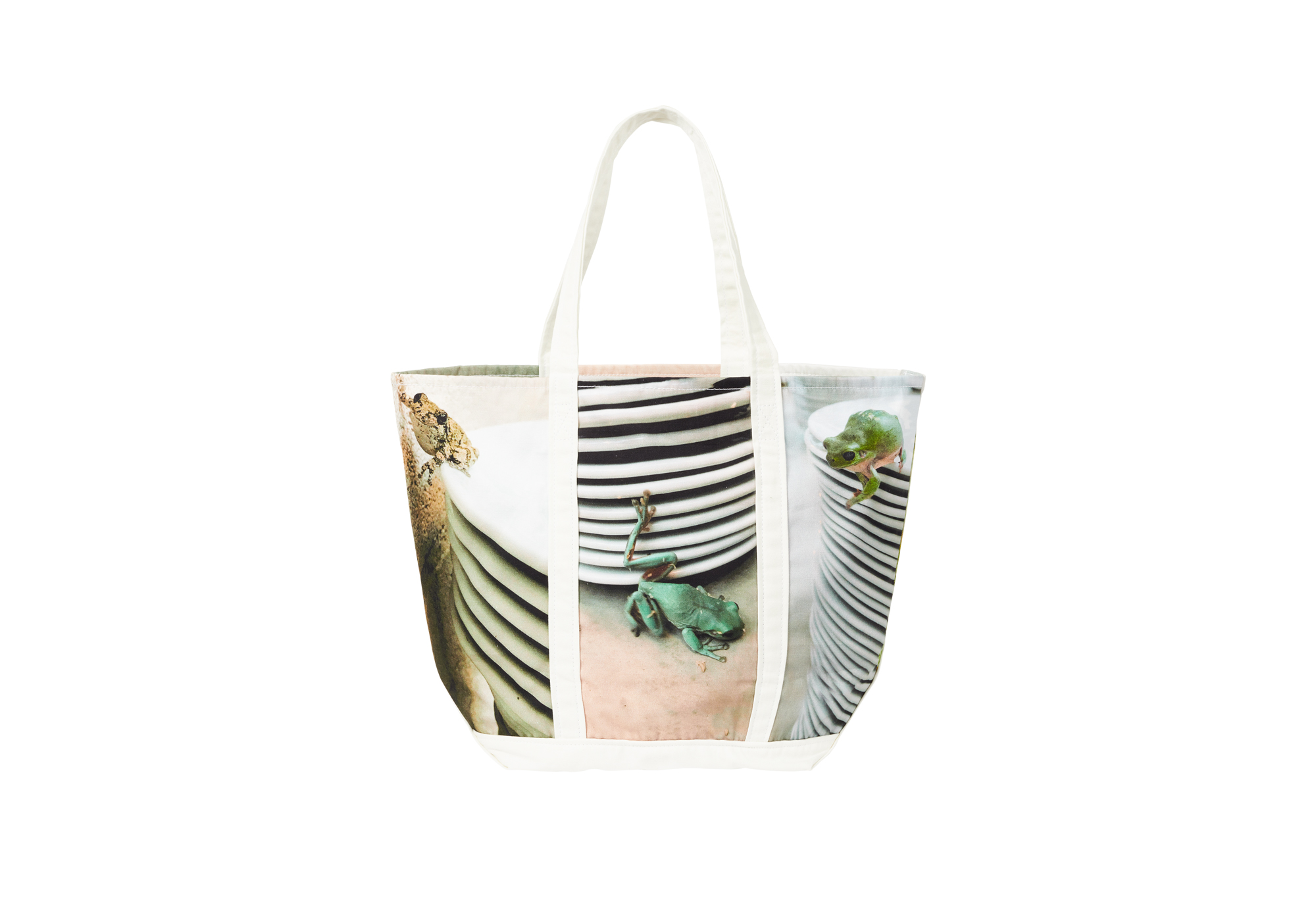 Palace_Spring_frog_tote_2175