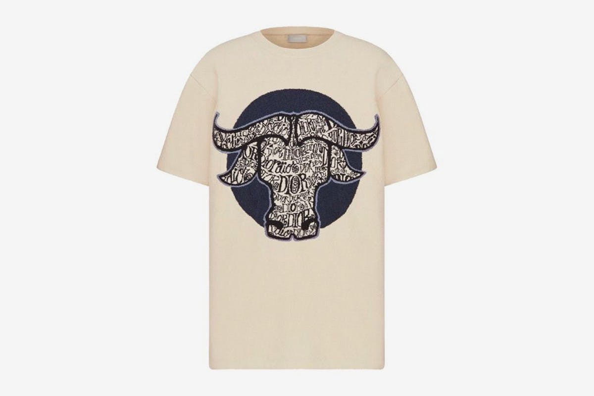 shawn-stussy-dior-b27-release-date-price-1-12