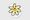 Flower Power Plate