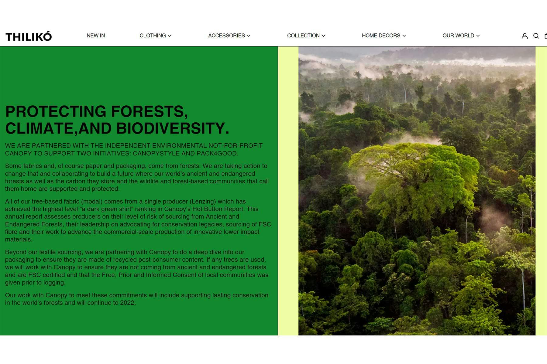 Thilikó's website, screengrab taken on 1/12/23