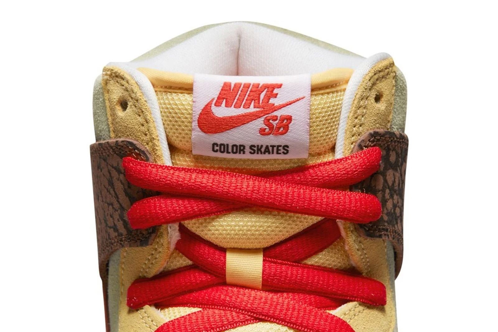 color-skates-nike-sb-dunk-high-release-date-price-03
