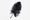 Feather Pen
