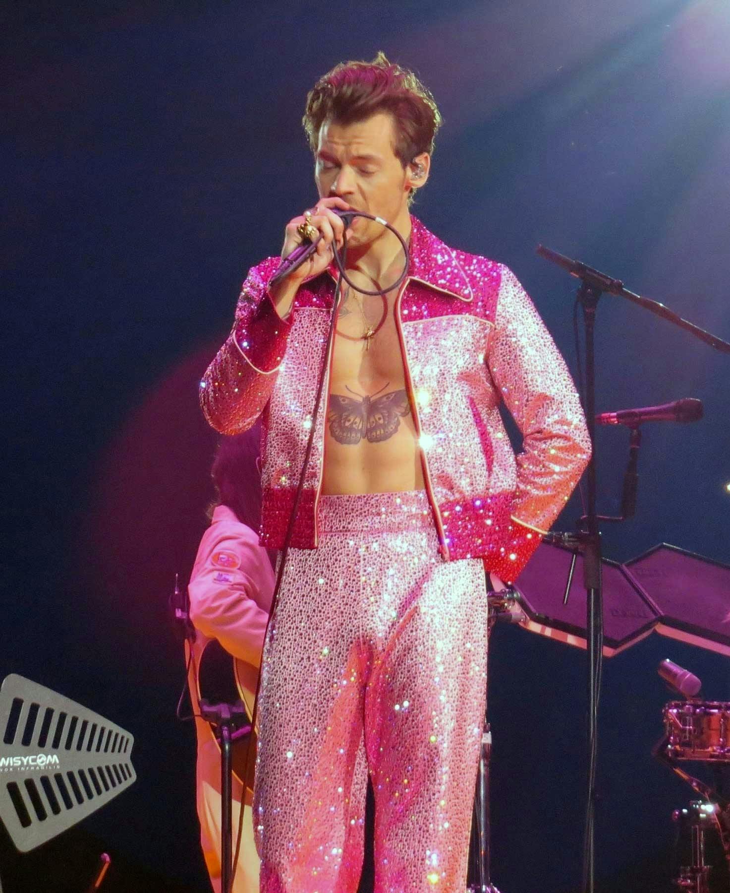 harry-styles-penis-2