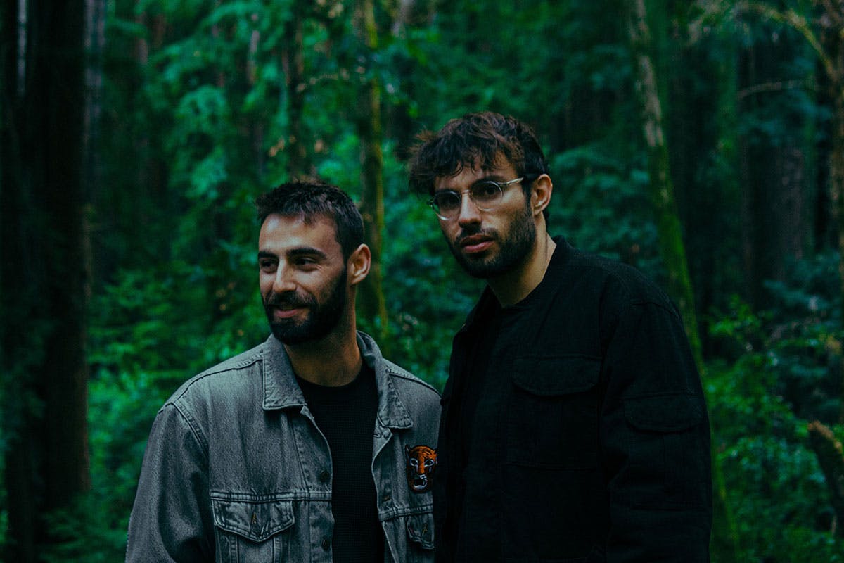 slenderbodies