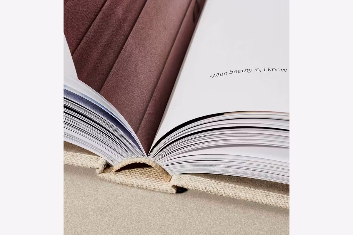 Aesop book