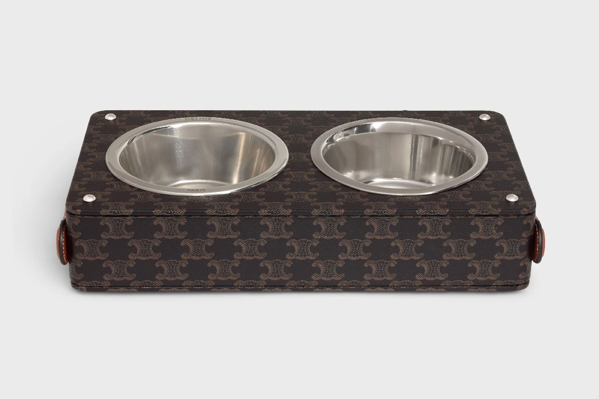 celine-dog-collection-5