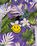 undefined - Image 3