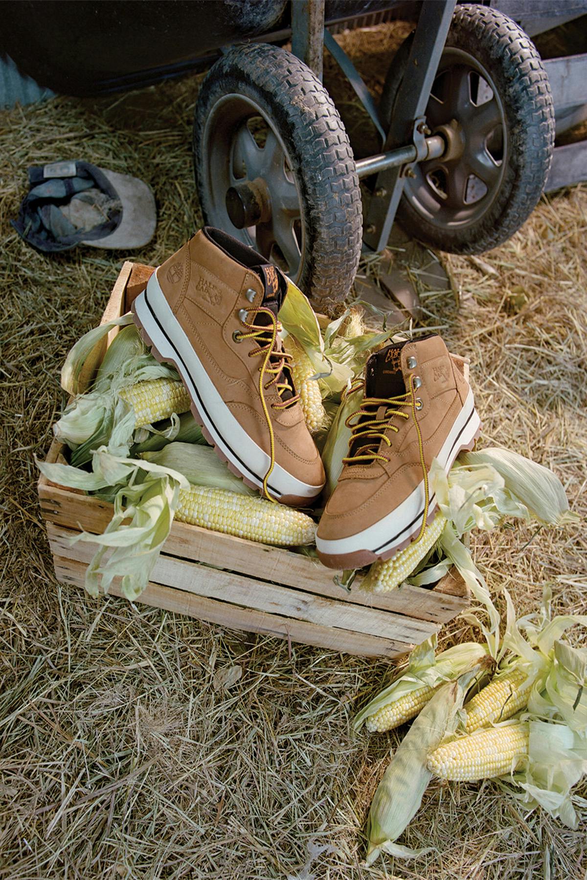 vans_1